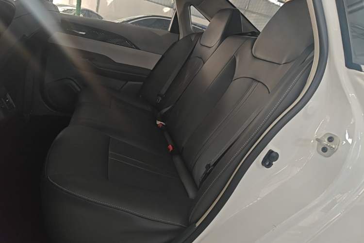 Used Dongfeng Aeolus E70 2020 500 Supreme Edition Left Rear Seat
