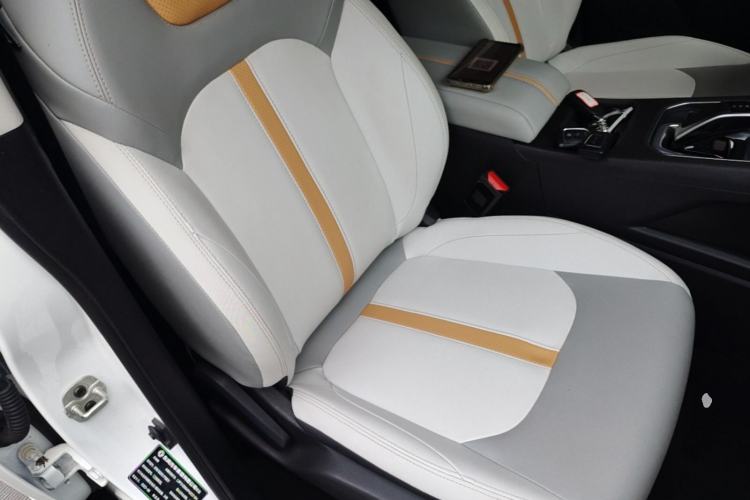 Used Dongfeng Aeolus E70 2023 Revised PRO Smart Drive Version Right Front Seat