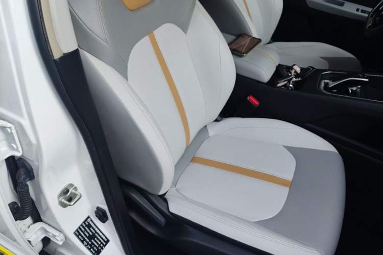 Used Dongfeng Aeolus E70 2023 Revised PRO Smart Drive Version Right Front Seat