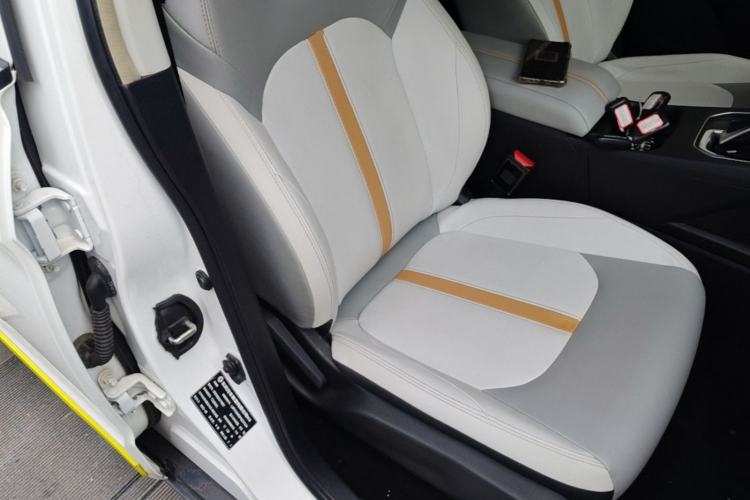 Used Dongfeng Aeolus E70 2023 Revised PRO Smart Drive Version Right Front Seat