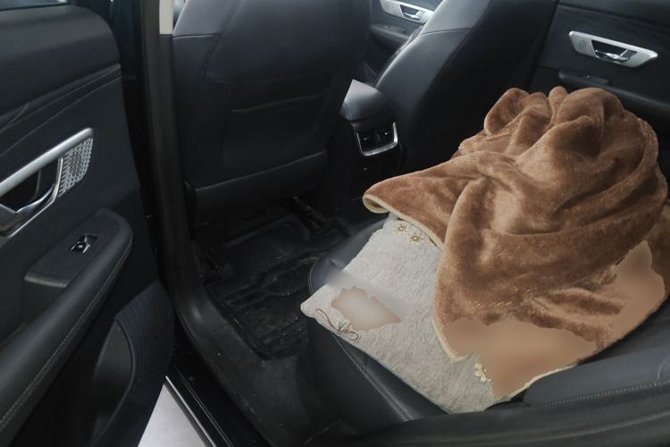 Used Dongfeng Aeolus Huge 2022 Mach Power 1.5T Dare-to-Love Edition Left Rear Seat
