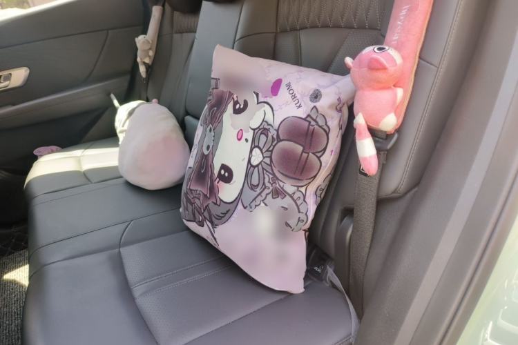Used Dongfeng Aeolus Huge 2022 Mach Power 1.5T Dare-to-Love Edition Left Rear Seat