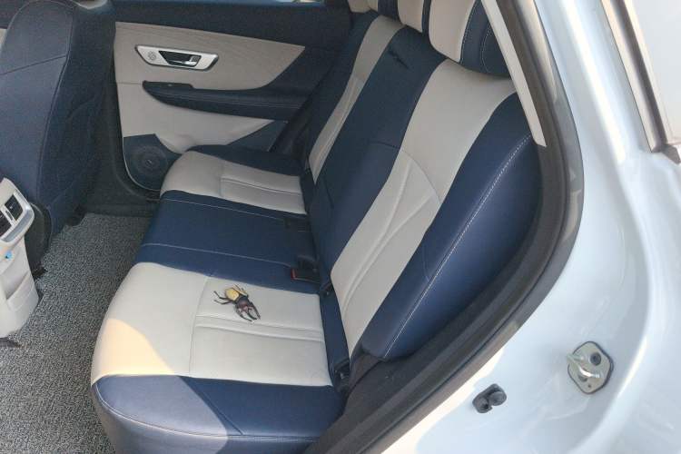 Used Dongfeng Aeolus Huge 2022 Mach Dual-Motor 1.5T MHD Dare-to-Dream Edition Left Rear Seat
