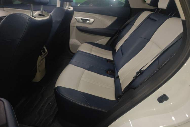 Used Dongfeng Aeolus Huge 2022 Mach Dual-Motor 1.5T MHD Dare-to-Dream Edition Left Rear Seat