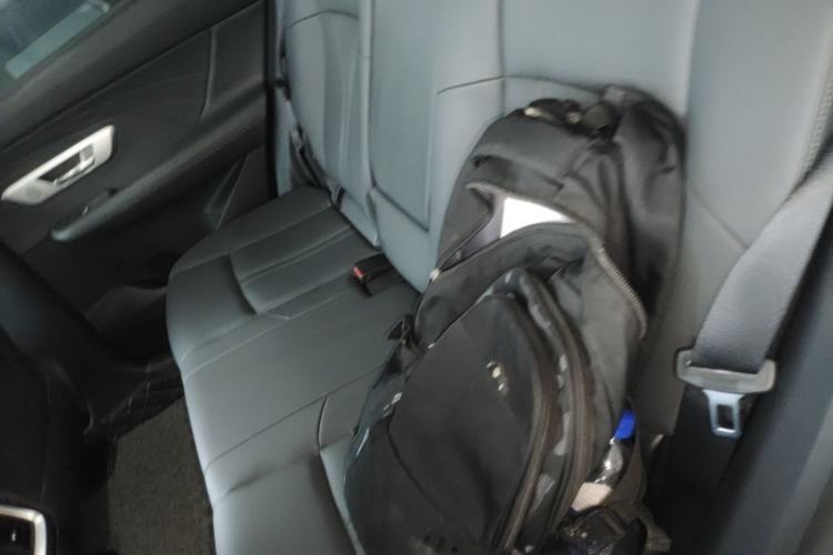 Used Dongfeng Aeolus Huge 2024 Mach Power 1.5T Premium Model Left Rear Seat