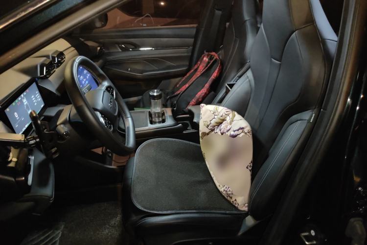 Used Dongfeng Aeolus L7 New Energy 2024 205 Pro Left Front Seat