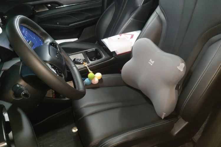 Used Dongfeng Aeolus L7 New Energy 2024 205 Plus Left Front Seat