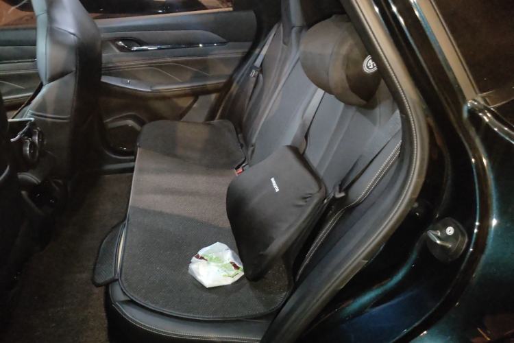 Used Dongfeng Aeolus L7 New Energy 2024 205 Pro Left Rear Seat