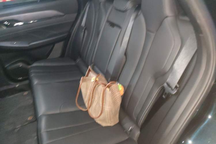 Used Dongfeng Aeolus L7 New Energy 2024 205 Plus Left Rear Seat