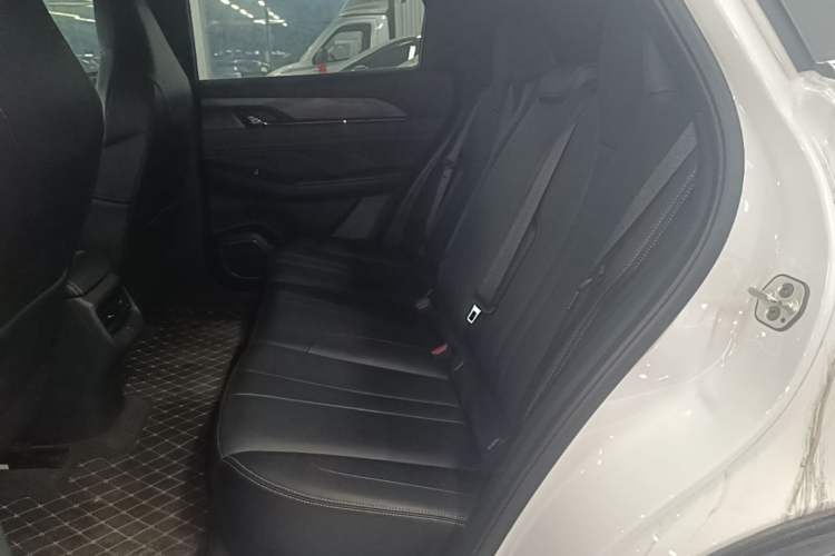 Used Dongfeng Aeolus L7 New Energy 2024 518 Air Left Rear Seat