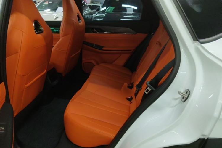 Used Dongfeng Aeolus L7 New Energy 2024 205 Plus Left Rear Seat