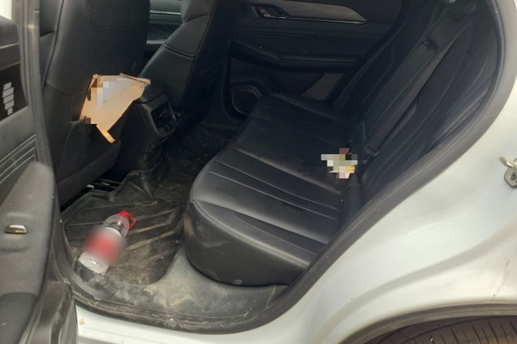 Used Dongfeng Aeolus L7 New Energy 2024 205 Plus Left Rear Seat