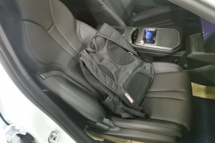 Used Dongfeng Aeolus L7 New Energy 2024 205 Pro Right Front Seat