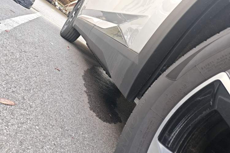Used Dongfeng Aeolus L7 New Energy 2025 518 Comfort Edition Left Side Sill
