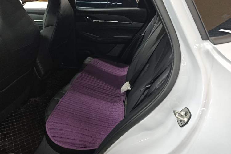 Used Dongfeng Aeolus L7 New Energy 2025 518 Comfort Edition Left Rear Seat