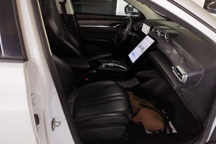 Used Dongfeng Aeolus Mage 2023 1.5T Luxury Edition Right Front Seat
