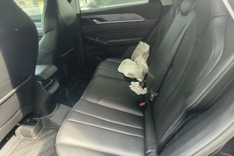 Used Dongfeng Aeolus Mage 2023 DH-i 1.5T Luxury Edition Left Rear Seat