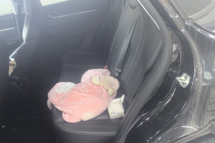 Used Dongfeng Aeolus Mage 2023 DH-i 1.5T Luxury Edition Left Rear Seat