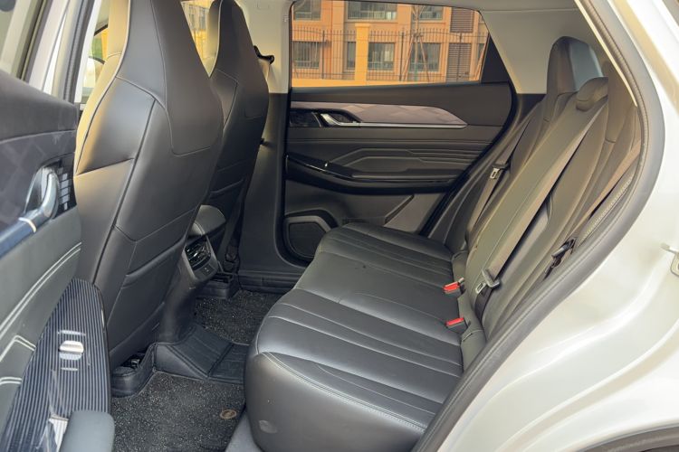 Used Dongfeng Aeolus Mage 2023 1.5T Luxury Edition Left Rear Seat
