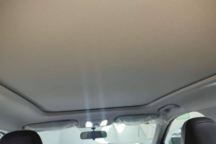 Used Dongfeng Aeolus Mage 2023 1.5T Luxury Edition Headliner