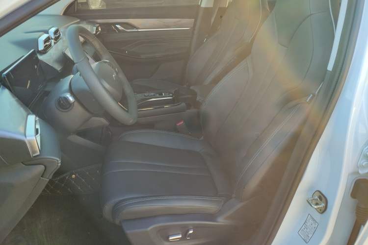 Used Dongfeng Aeolus Mage 2023 1.5T Luxury Edition Left Front Seat
