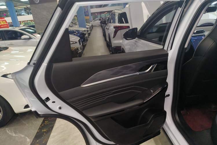 Used Dongfeng Aeolus Mage 2023 1.5T Luxury Edition Left Rear Door Interior