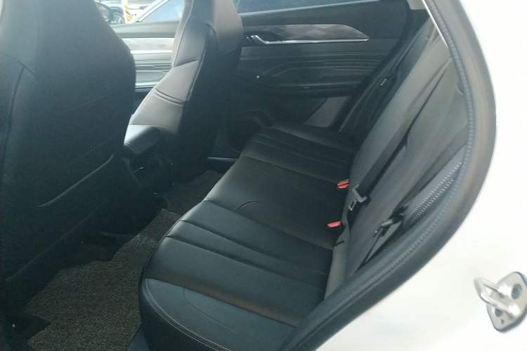 Used Dongfeng Aeolus Mage 2023 1.5T Luxury Edition Left Rear Seat