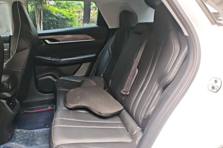 Used Dongfeng Aeolus Mage 2023 1.5T Luxury Edition Left Rear Seat