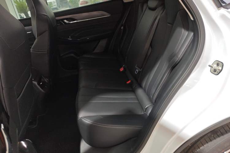 Used Dongfeng Aeolus Mage 2023 1.5T Luxury Edition Left Rear Seat