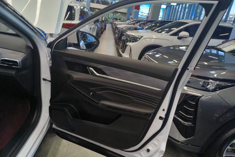Used Dongfeng Aeolus Mage 2023 1.5T Luxury Edition Right Front Door Interior
