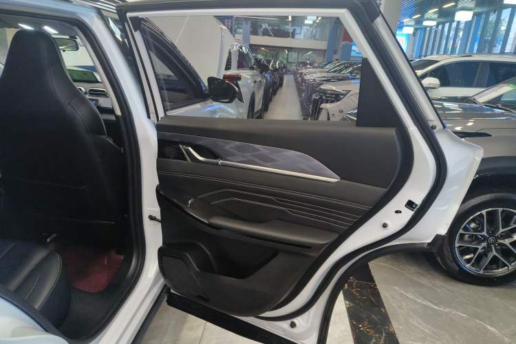 Used Dongfeng Aeolus Mage 2023 1.5T Luxury Edition Right Rear Door Interior