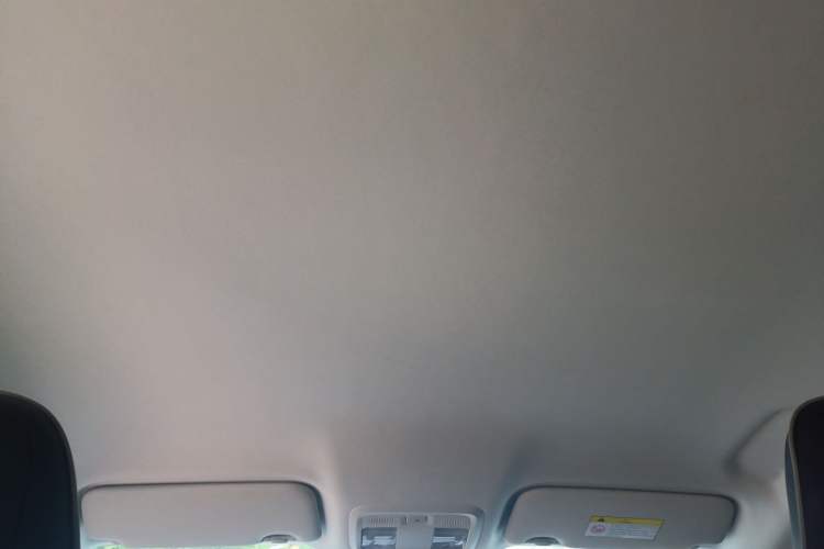 Used Dongfeng Aeolus SKY EV01 2023 445km PRO Headliner