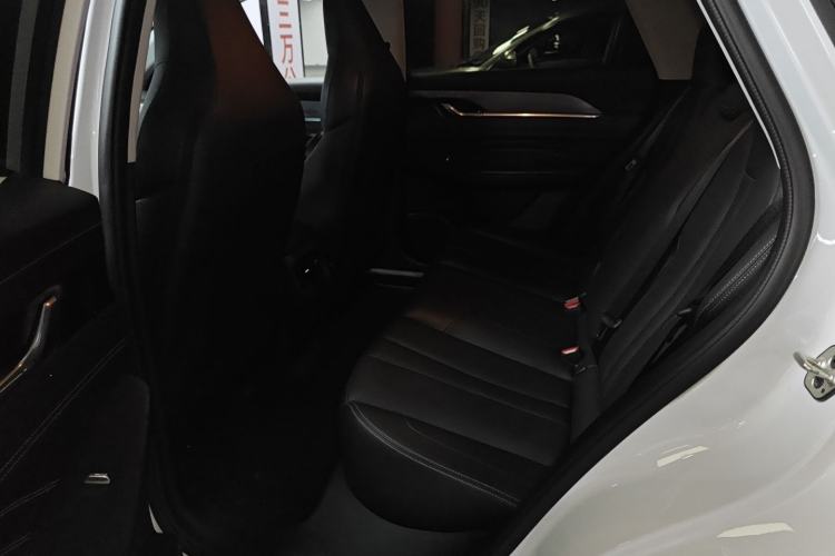 Used Dongfeng Aeolus SKY EV01 2023 445km PRO Left Rear Seat