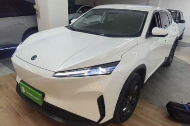 Used Dongfeng Aeolus SKY EV01 2024 530km PRO