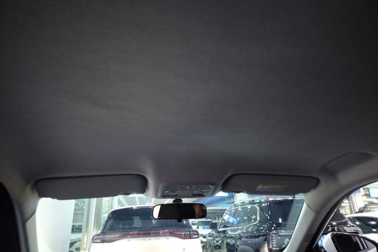 Used Dongfeng Aeolus SKY EV01 2024 530km PRO Headliner
