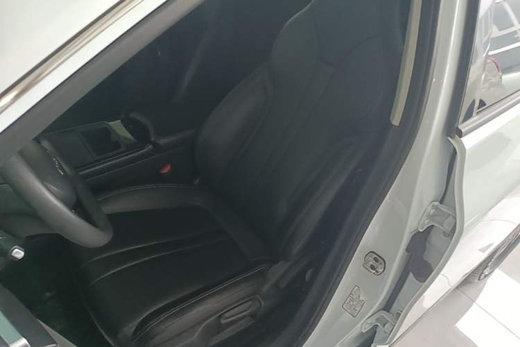 Used Dongfeng Aeolus SKY EV01 2024 530km PRO Left Front Seat