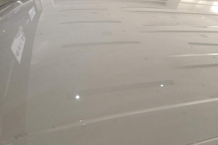 Used Dongfeng Aeolus SKY EV01 2024 530km PRO Roof