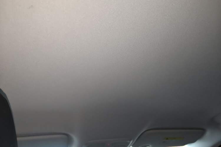 Used Dongfeng Aeolus SKY EV01 2025 530 km PRO Elite Executive Version Headliner