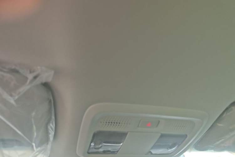 Used Dongfeng Aeolus SKY EV01 2025 530 km AIR Elite Edition Headliner