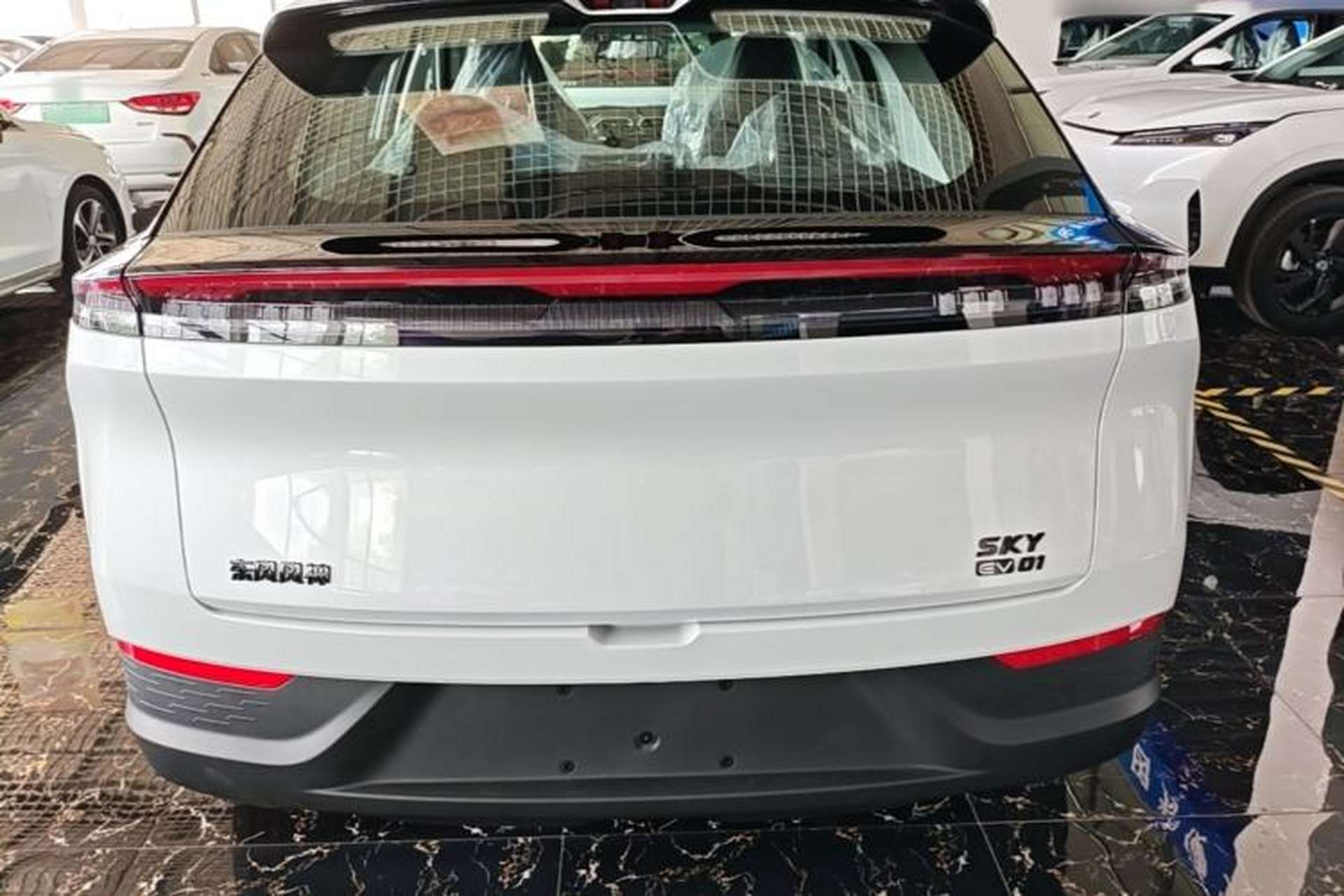Used Dongfeng Aeolus SKY EV01 2025 530 km AIR Elite Edition Rear