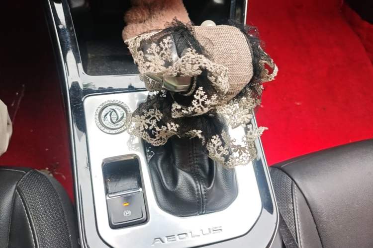 Used Dongfeng Aeolus Yixuan 2020 230T Automatic Cool Edition Gear Lever