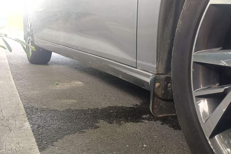Used Dongfeng Aeolus Yixuan 2020 230T Automatic Advanced Edition Right Side Sill