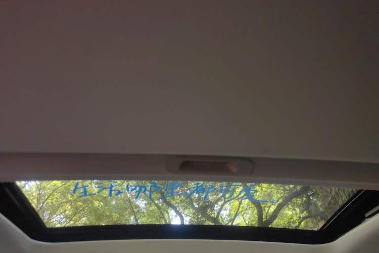 Used Dongfeng Aeolus Yixuan 2020 230T Automatic Advanced Edition Headliner