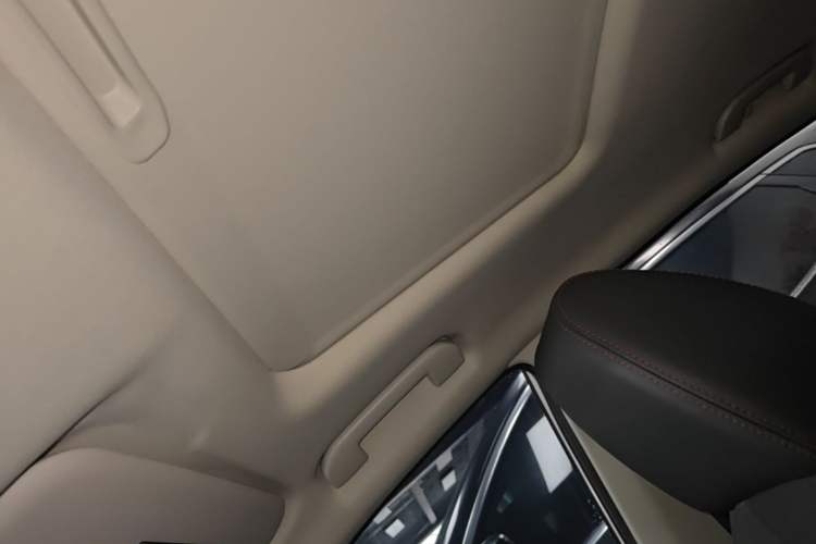 Used Dongfeng Aeolus Yixuan 2020 230T Automatic Dazzle Track Edition Headliner