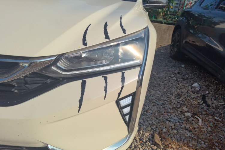 Used Dongfeng Aeolus Yixuan 2020 230T Automatic Advanced Edition Left Front Headlight