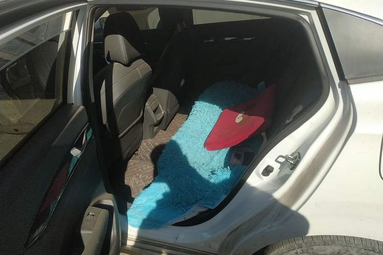 Used Dongfeng Aeolus Yixuan 2020 200T Manual Ignition Edition Left Rear Seat