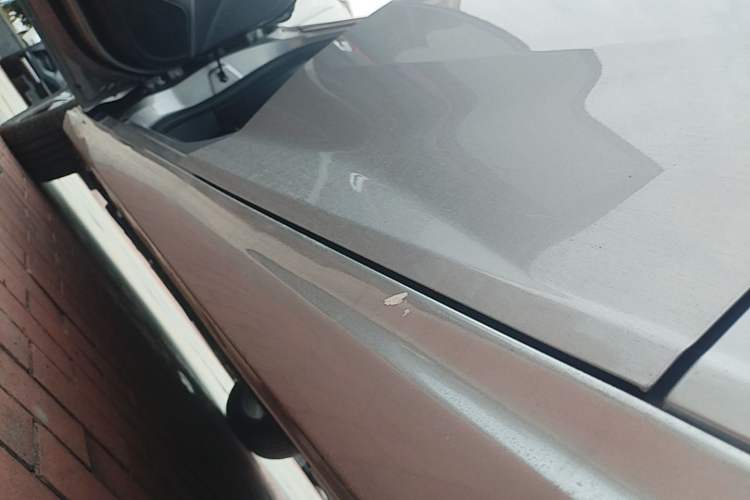 Used Dongfeng Aeolus Yixuan 2021 230T Automatic Dream-Chasing Edition Left Side Sill