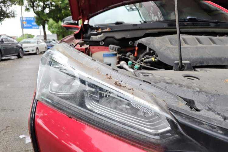 Used Dongfeng Aeolus Yixuan 2021 230T Automatic Zuiying Knight Edition Right Front Headlight