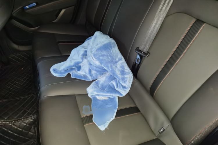 Used Dongfeng Aeolus Yixuan 2021 230T Automatic Dream-Chasing Edition Left Rear Seat
