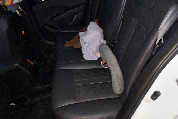 Used Dongfeng Aeolus Yixuan 2021 230T Automatic Zuiqing Edition Left Rear Seat